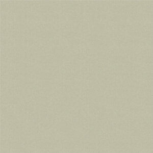 Giấy Dán Tường Giá Rẻ Albany 6824-4