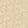 Giấy Dán Tường Giá Rẻ Hot Style 8806-5