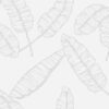 Giấy Dán Tường Giá Rẻ Muji 96009-2