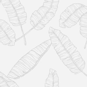 Giấy Dán Tường Giá Rẻ Muji 96009-2