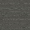 Giấy Dán Tường Hàn Quốc Neom 88575-2