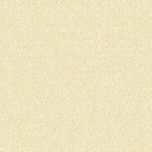 Giấy Dán Tường Hàn Quốc Neom 88583-3