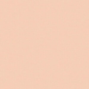 Giấy Dán Tường Giá Rẻ The View TWall 9824-3