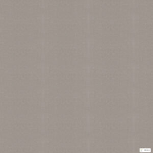 Giấy Dán Tường Giá Rẻ V-Concept 7910-5