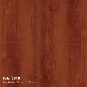 Sàn Gỗ Nam Việt F3019